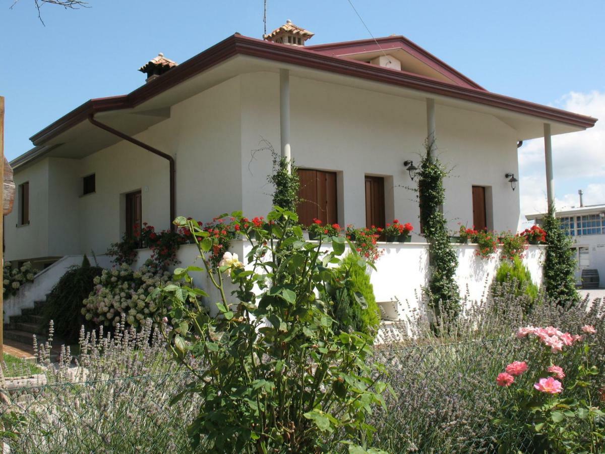 Agriturismo Ballaminut Terzo d' Aquileia Buitenkant foto
